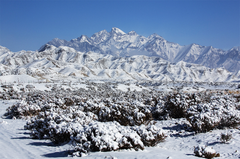 新疆乌鲁木齐鹰舞之乡雪景美