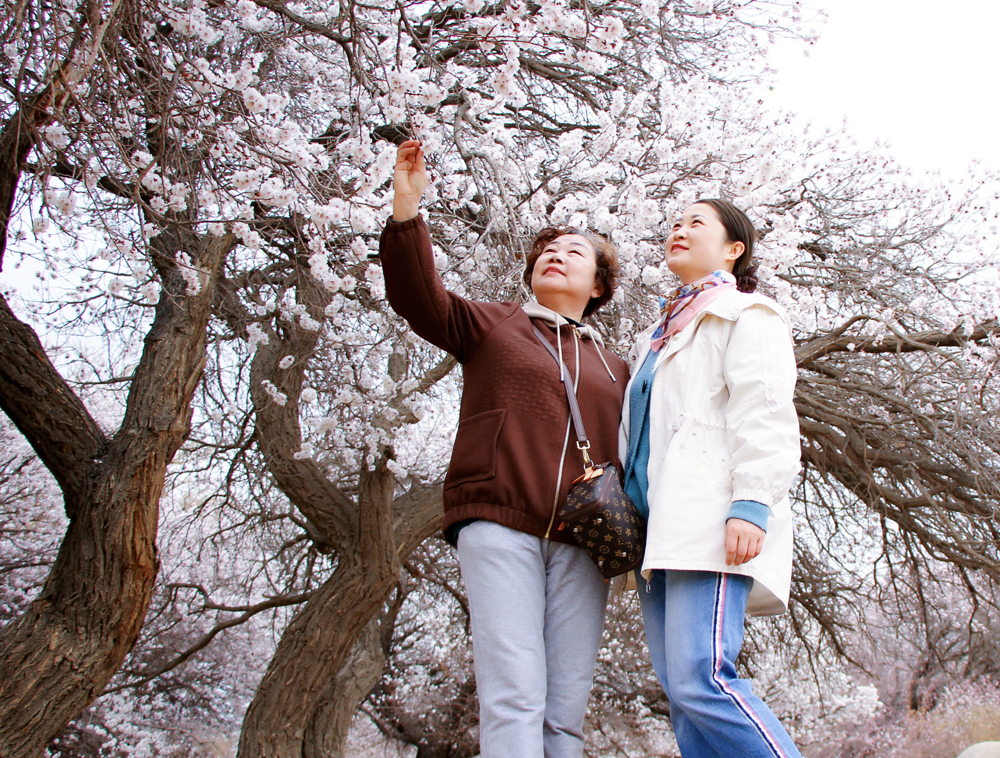 4月6日,哈密市游客在十三师新星市东疆夏宫61庙儿沟景区踏青赏花.